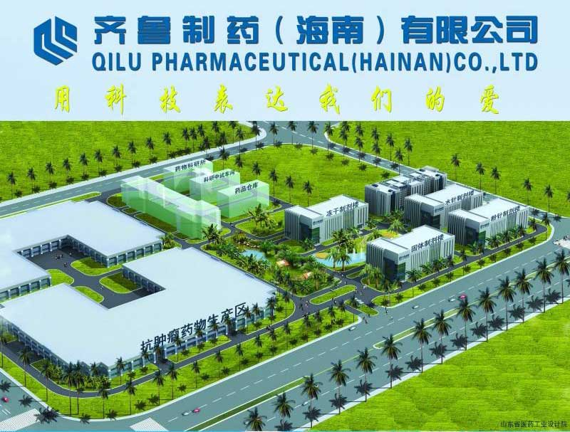 齊魯制藥(海南)有限公司